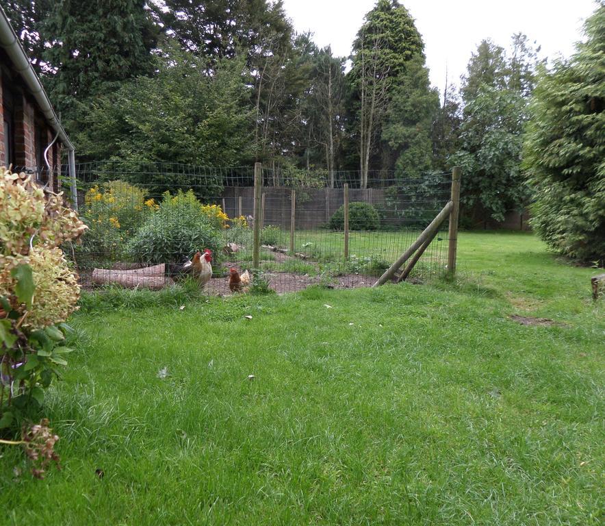 Villa Bijenhof Varsenare Szoba fotó