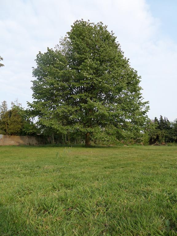 Villa Bijenhof Varsenare Szoba fotó